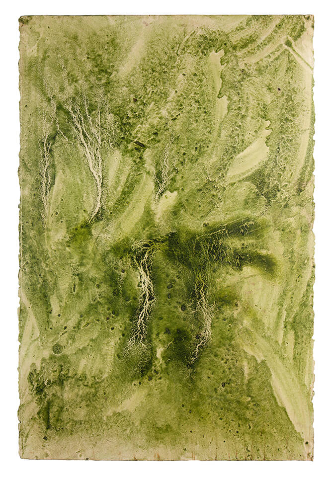 chontaduro papel 09.jpg